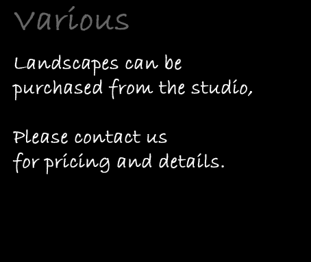 various package information