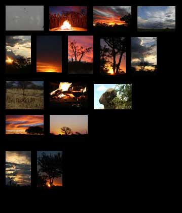Click to see large photo of the sunset and tree